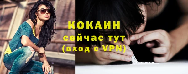 тгк Алзамай