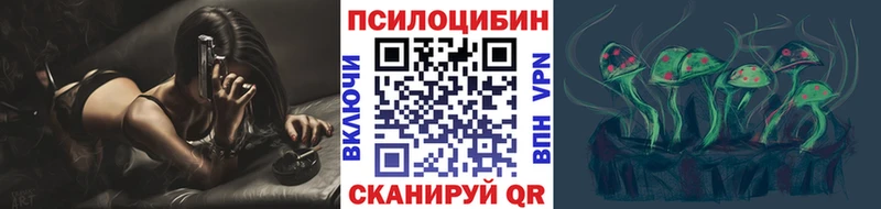 купить закладку  Козловка  Галлюциногенные грибы MAGIC MUSHROOMS 